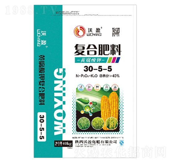 �S����⛏ͺϷ���30-5-5-��ӯ����