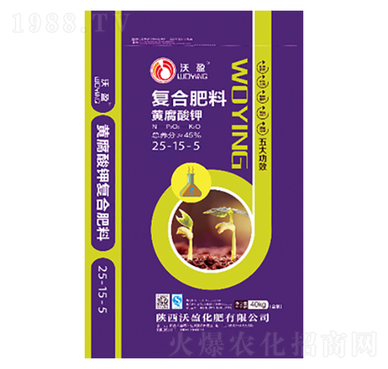 �S����⛏�(f��)�Ϸ���25-15-5-��ӯ����