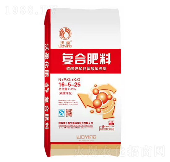 ������͏�(f��)�Ϸ���16-5-25-��ӯ����