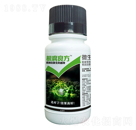 ΢�������-��������-������