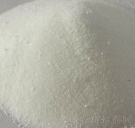 �̌���-���R