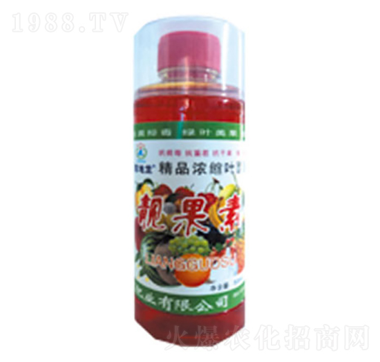 �n����-�|���t