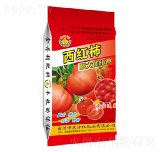 ���t�����߼t�-�|���t