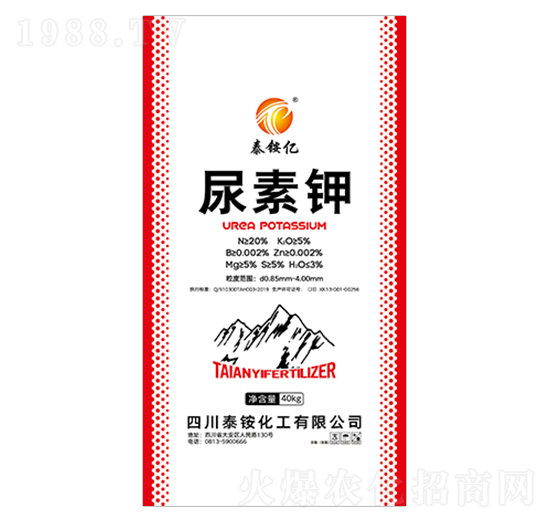 �����-̩�@�|-�ʢ�Ƽ�