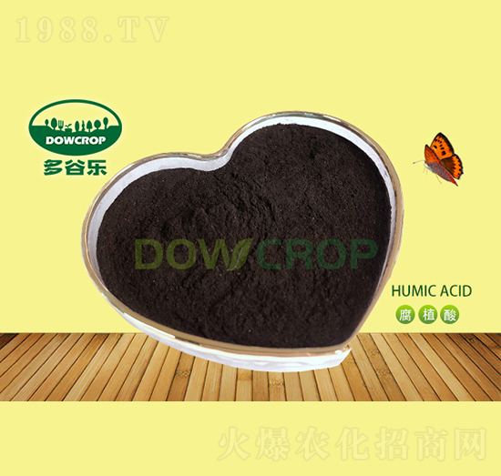 ��ֲ��ԭ��-��Ș�