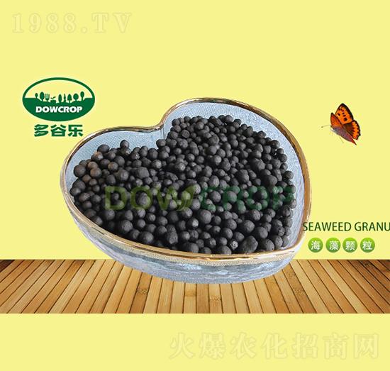 �����ЙC���w��-��Ș�