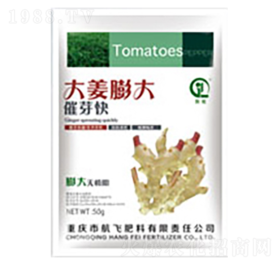 大姜膨大催芽快-白市化工