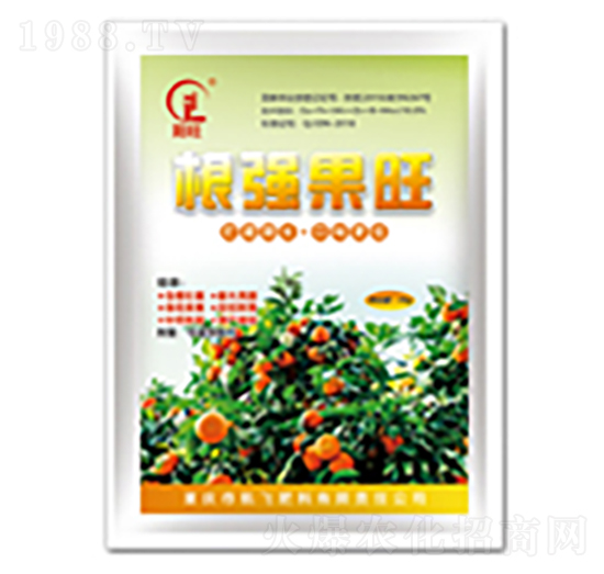 ����(qi��ng)����-���л���