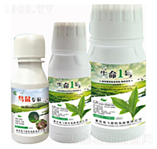 ����һ̖-�B�󌣼�-���л���