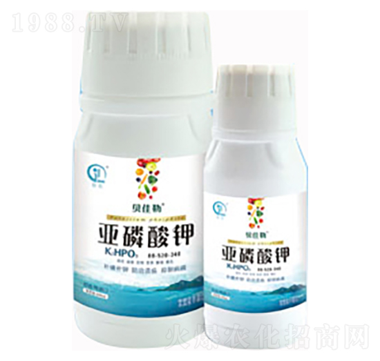 �������-ؐ����-���л���