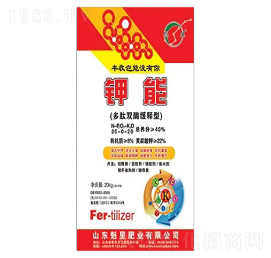 �����pø�����-���-���ǷʘI(y��)