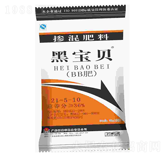 �������21-5-10-�ڌ�ؐ-��ʢ�S