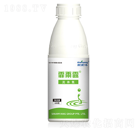 ���w��-����¶-������