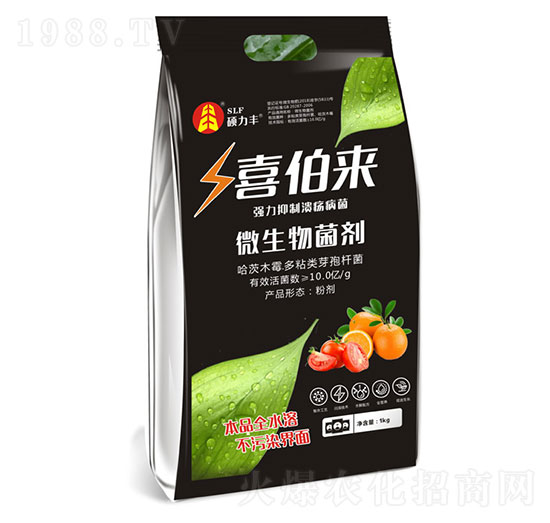 ΢�������-ϲ����-�T���S����