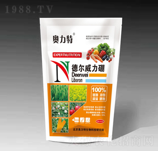 ��?t��ng)������?�W����-��˼�D