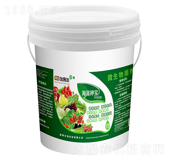 ����⛌�-������ʩ��-ʢ�Z����