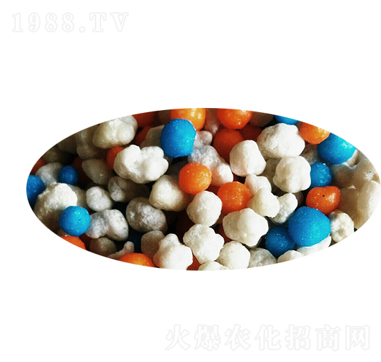 �LЧ����ጷ���26-10-10-���Դ�ʘI(y��)