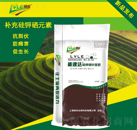 �����_(d��)������~��ʣ�����-�G������