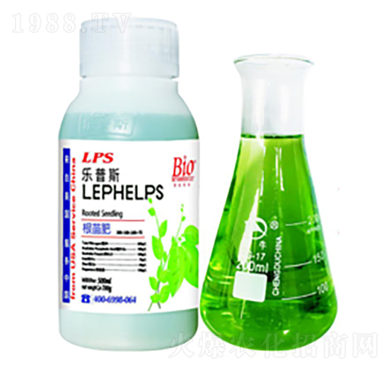 ��(l��)��˹�����-�Θ�(l��)�r(n��ng)�I(y��)