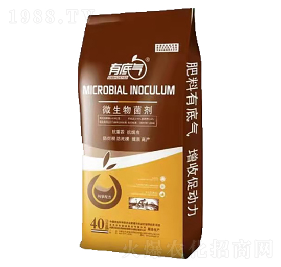 ΢�������-��������