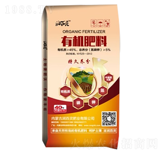 �ЙC����-�����`�ʘI(y��)