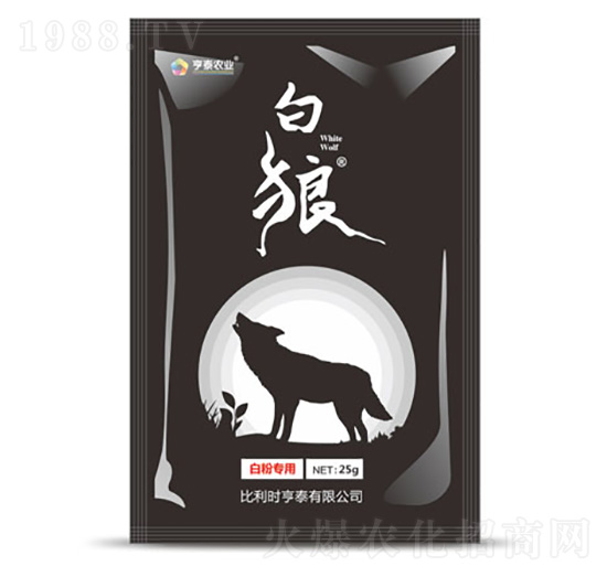 �׷۲����ð���-��̩�r(n��ng)�I(y��)