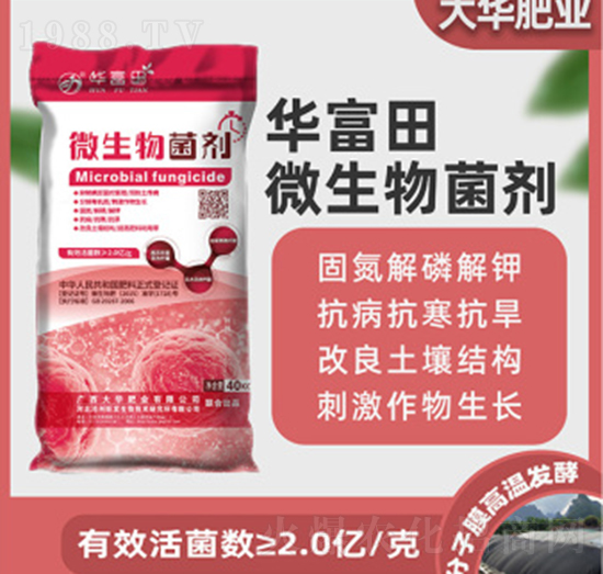 ΢�������-�A����-���A�ʘI(y��)