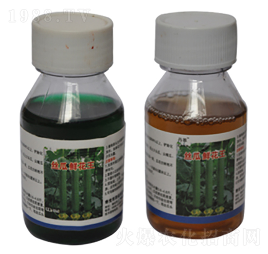 �z���r�����M��-�r(n��ng)����