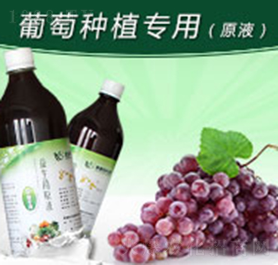 ������ѷNֲ����������ԭҺ-�G������