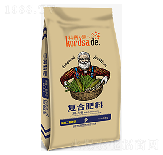 ���������͏�(f��)�Ϸ�28-6-6-��ِ��-���S�ط�