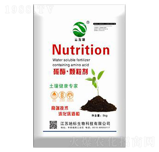 ̼ø���w����-�ؘ�����