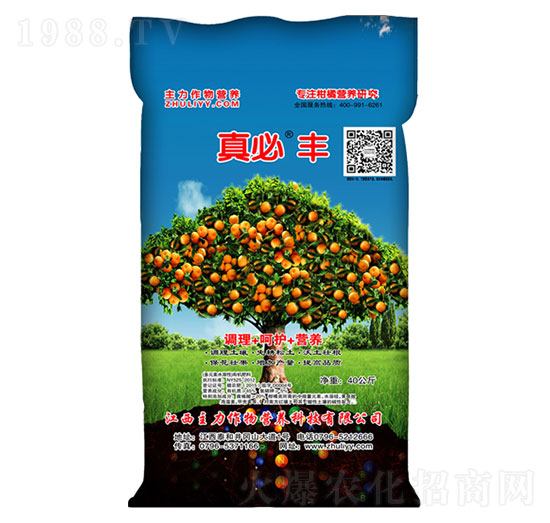 ����S��Ԫ��ˮ���Թ��ܹ���(sh��)���÷�-��������