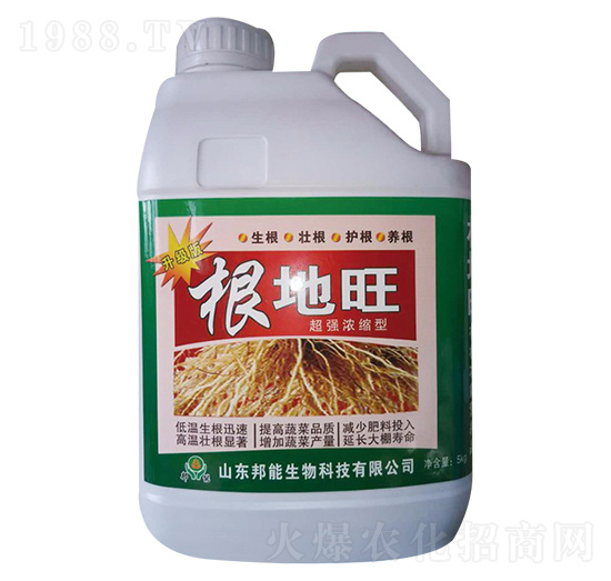 ������-������-����ţ