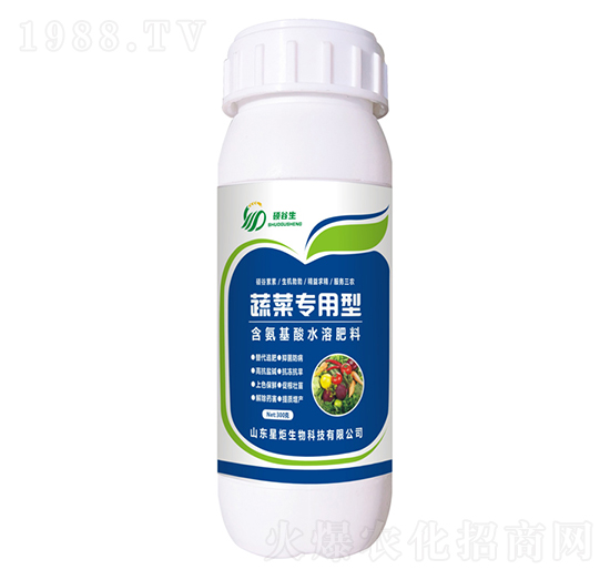 300���߲ˌ������~���-�Ǿ�����