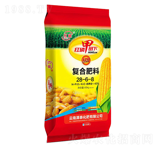 �t������ͺϷ�28-6-8-�M̩����