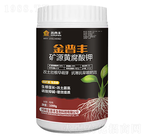 �VԴ�S�����-�����S