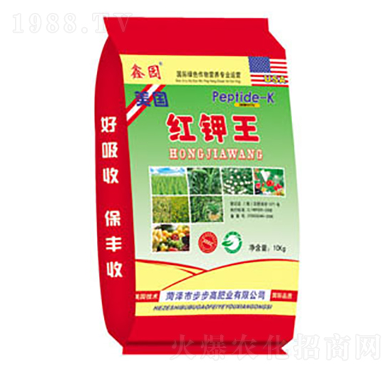 �t���-�Έ@-�����߷ʘI(y��)