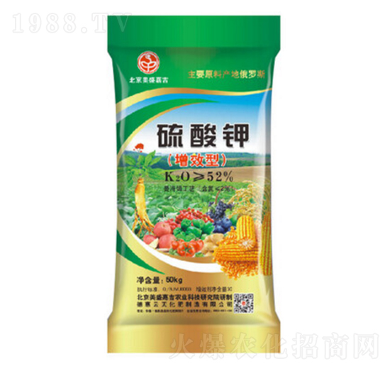 �����-��ʢ�μ�