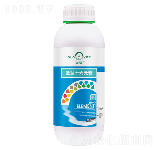 �W�mʮ��Ԫ��-�W�m��