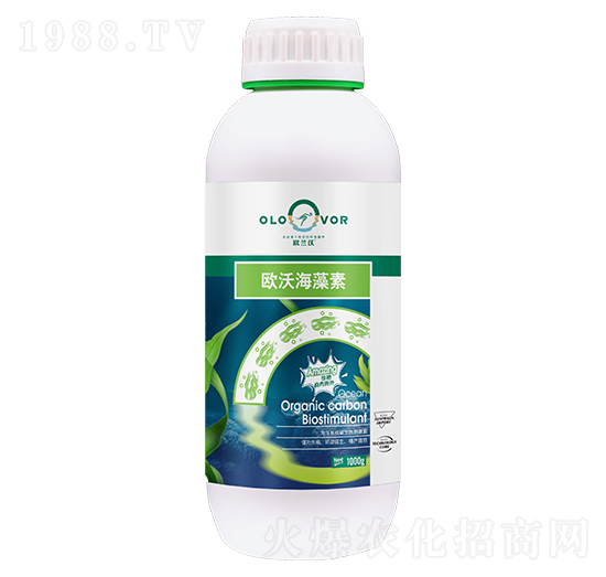 �����ЙC(j��)̼����̼���-�W�ֺ�����-�W�m��