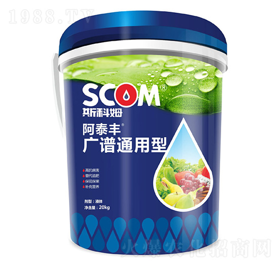 �V�Vͨ����-��̩�S-˹��ķ