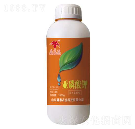 �������-¡̩�r(n��ng)�I(y��)