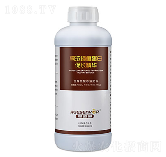 �ߝ�s�~���״��L���A-����������