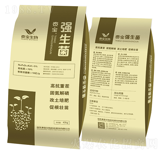 ������-̩������