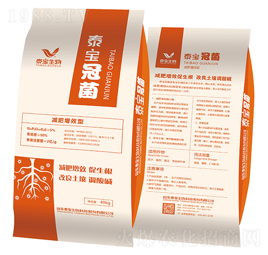 ̩���ھ�-̩������