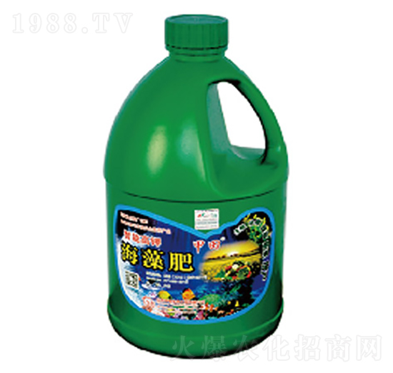 �����-����-�и�����