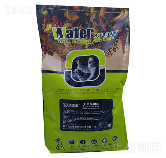 ����������-���������S-���r(n��ng)����