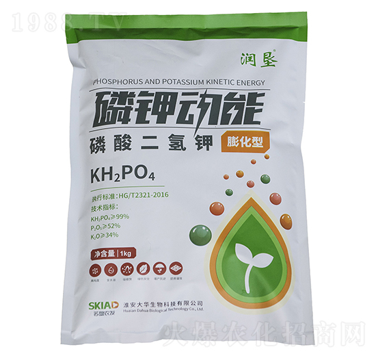 ��⛄���-����-���A����