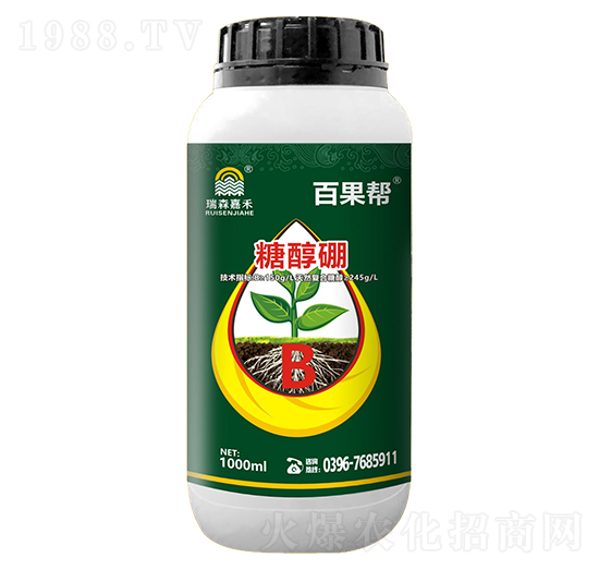 �Ǵ���-�ٹ���-��ɭ�κ�