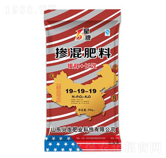 �������19-19-19-��������